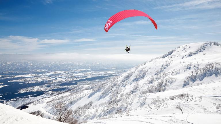 Motor paragliding tours、Paragliders