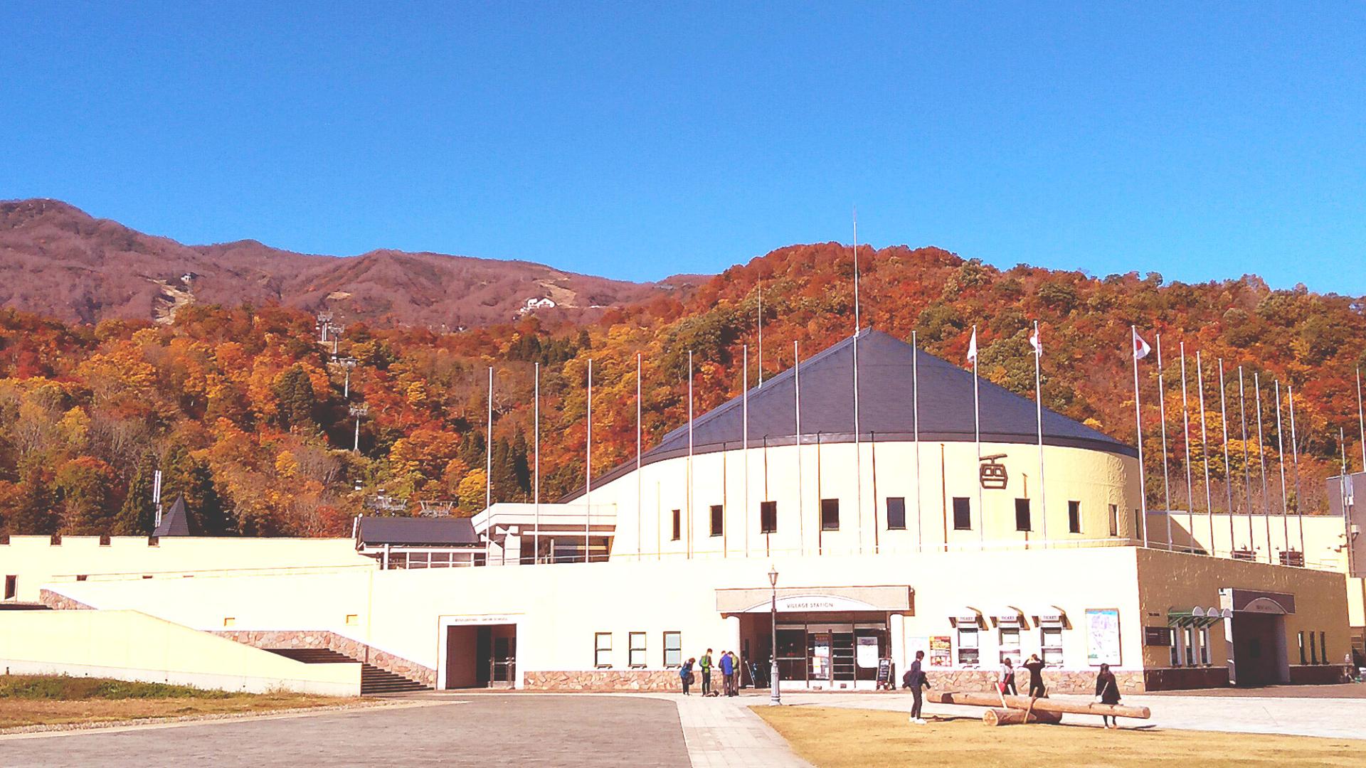 Autumn, Autumn leaves, Fall, Fall Foliage