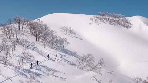 backcountry, snow, workation