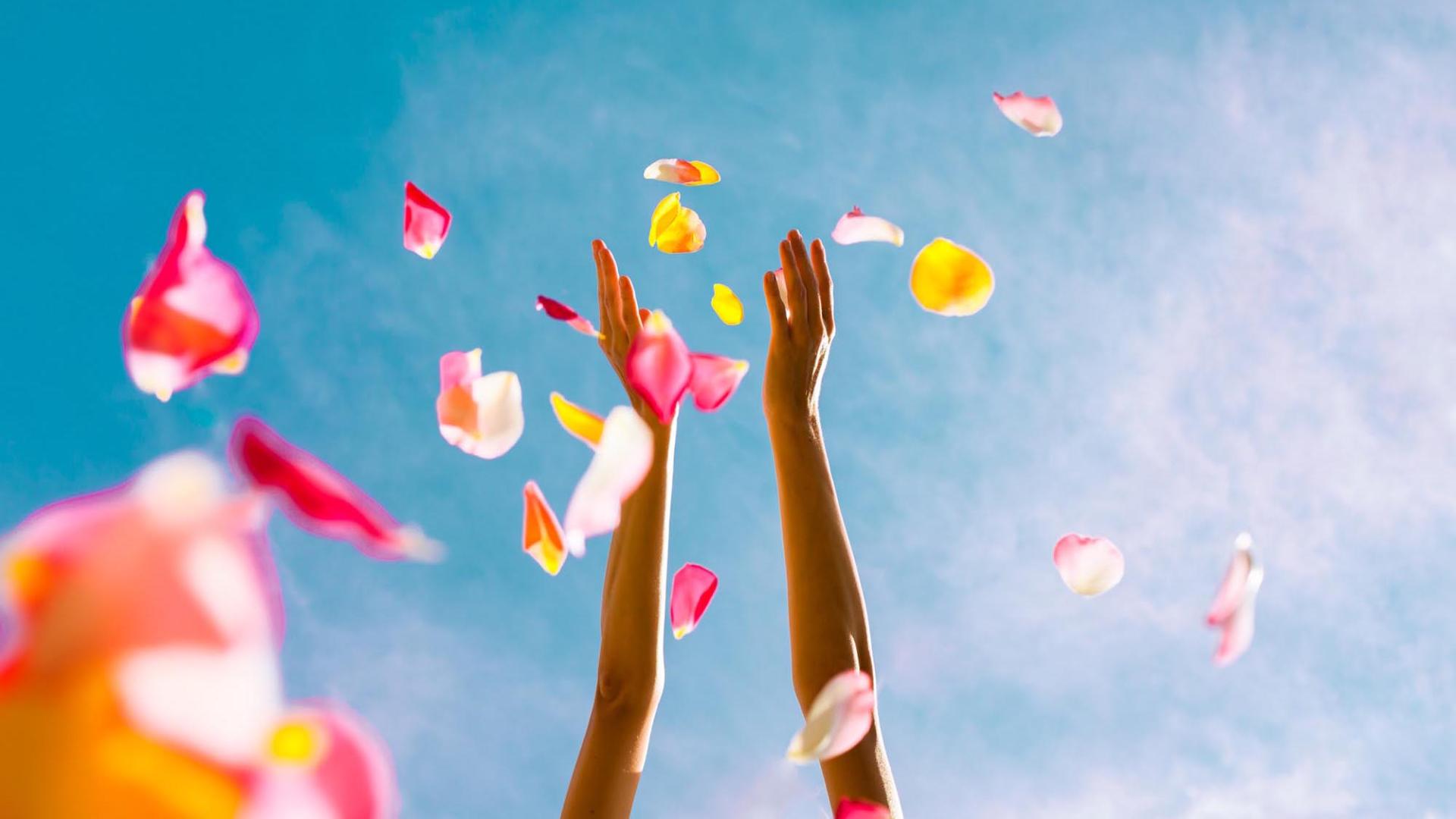 Rose petals falling from woman hands