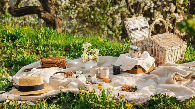 picnic, spring